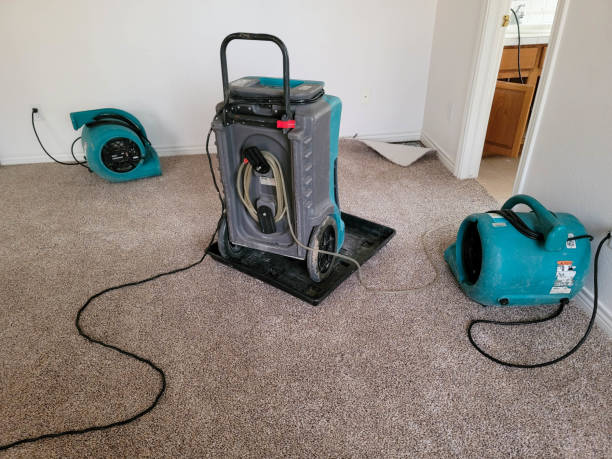 Best Professional water damage repair  in Jasper, GA