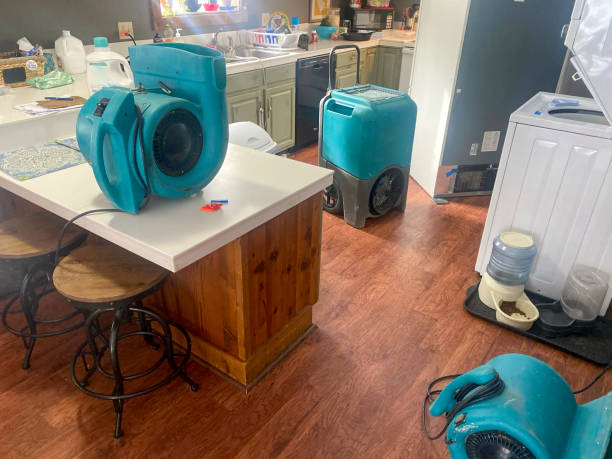 Best Residential water damage restoration  in Jasper, GA