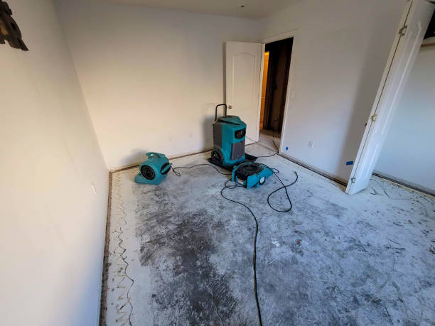 Best Ceiling water damage repair  in Jasper, GA