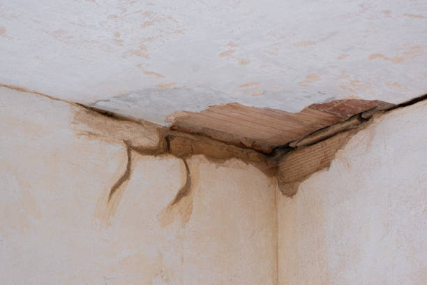 Water damage restoration experts in Jasper, GA