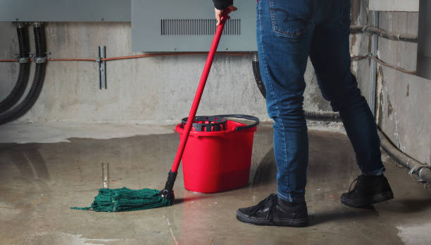Best Water damage restoration cost  in Jasper, GA