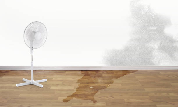 Best Water damage restoration near me  in Jasper, GA