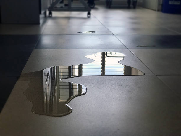 Best 24/7 water damage repair  in Jasper, GA