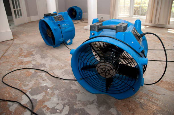 Water damage restoration insurance claims in Jasper, GA