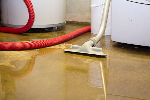  Jasper, GA Water damage restoration Pros