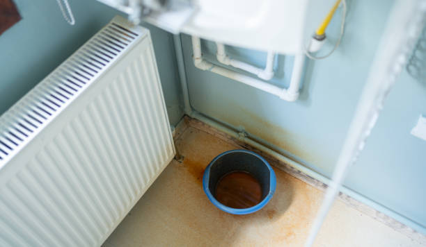 Best Flood restoration services  in Jasper, GA
