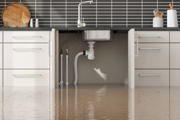 Best Fire Damage Restoration  in Jasper, GA