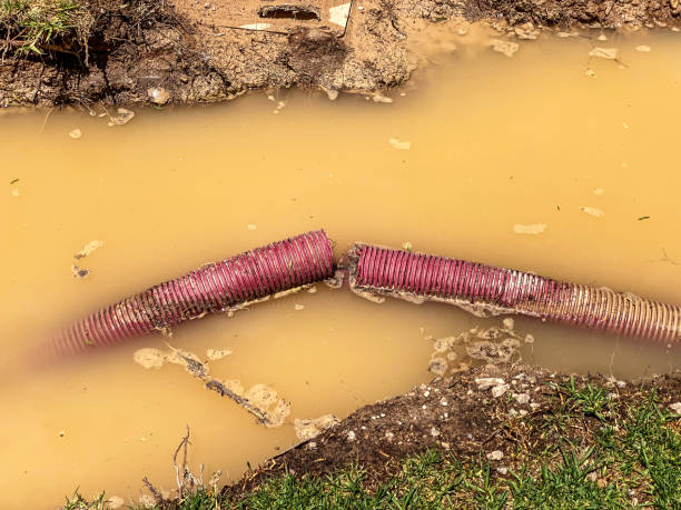 Best Residential water damage restoration  in Jasper, GA