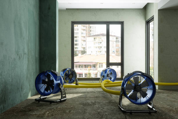Sewage cleanup and water damage restoration in Jasper, GA