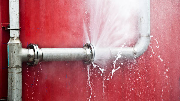 Best Carpet water damage restoration  in Jasper, GA